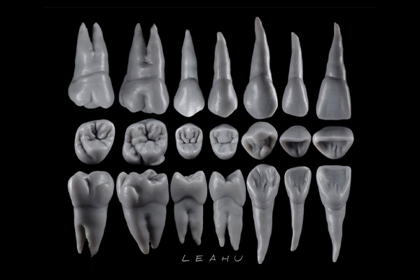 cas-leahu-1