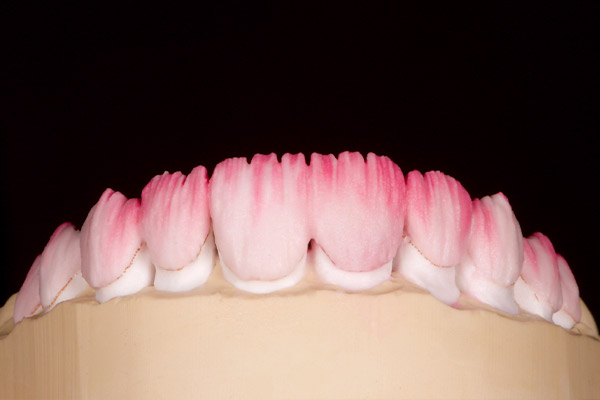 opal-atelier-cas-cliniques-3