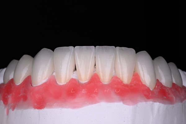 opal-atelier-cas-cliniques-10